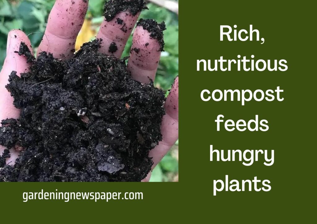 Rich, nutritious compost feeds hungry plants