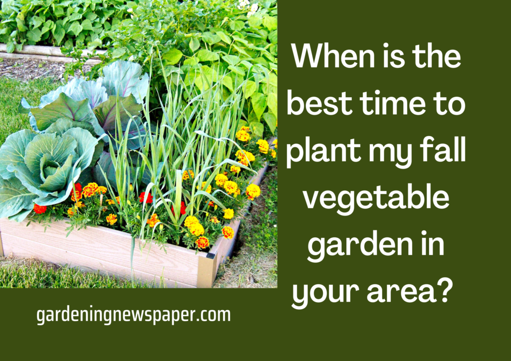 When is the best time to plant my fall vegetable garden in your area? 