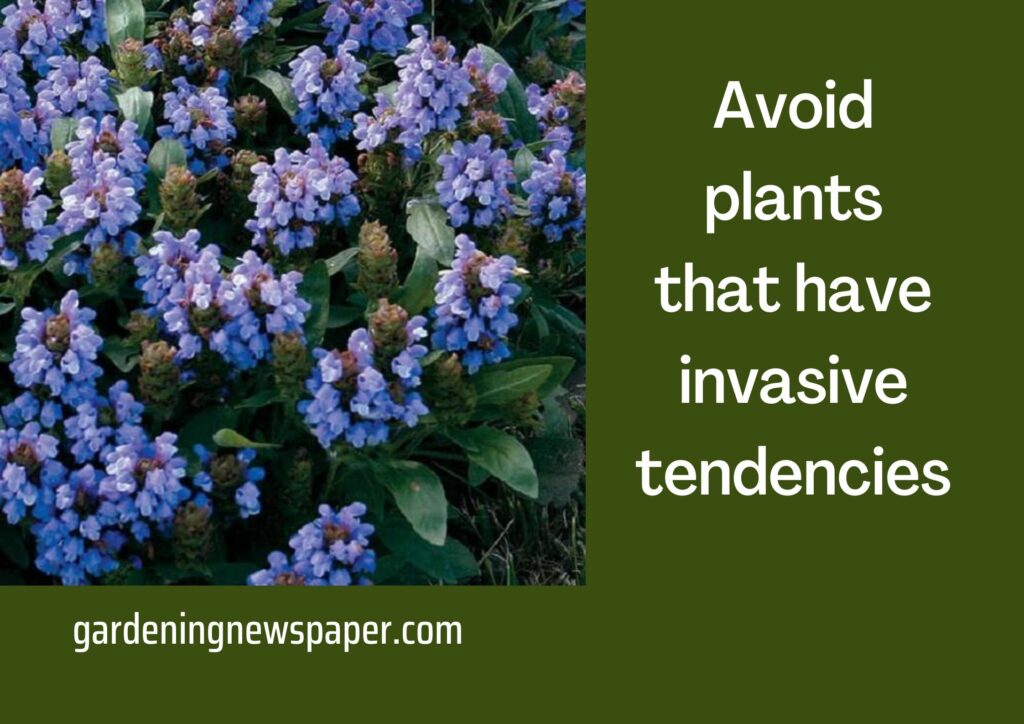 Avoid plants that have invasive tendencies