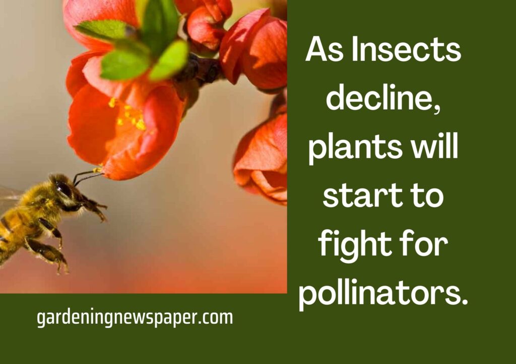 As Insects decline, plants will start to fight for pollinators.