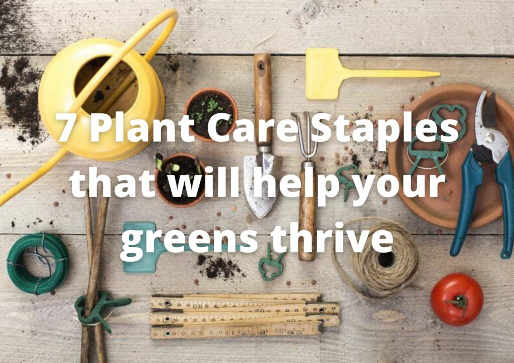 7 Plant-Care Staples that will help your greens thrive