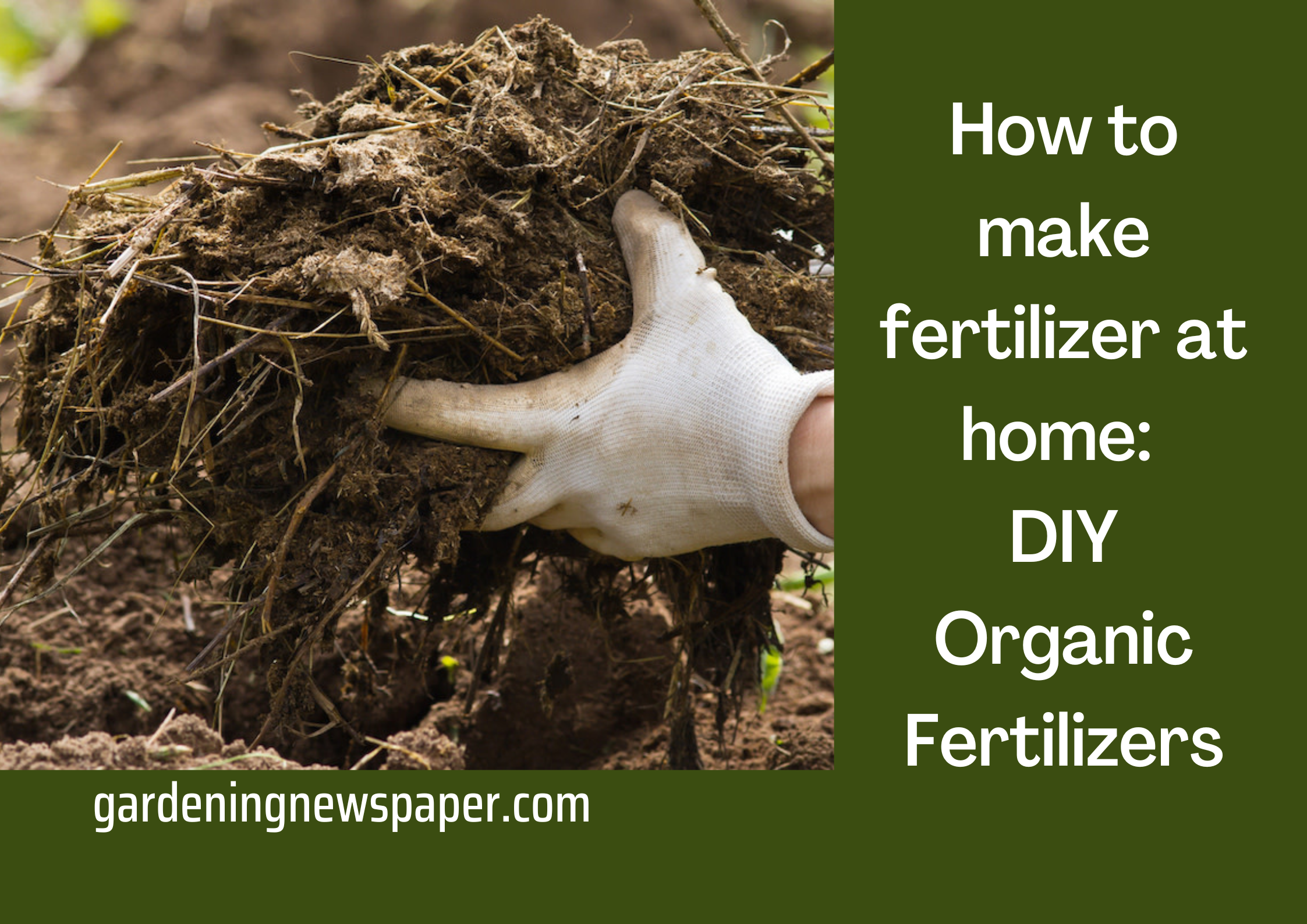 How to make fertilizer at home