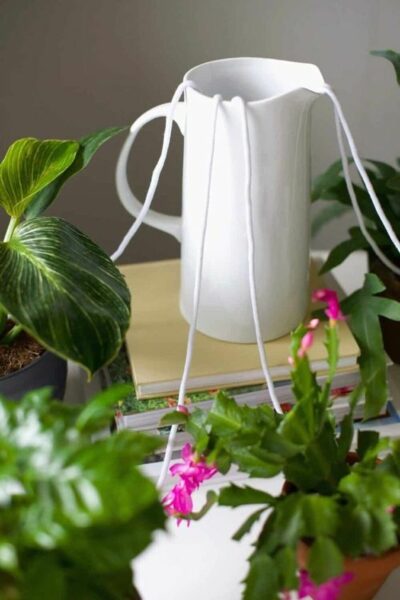 Indoor plant watering DIY