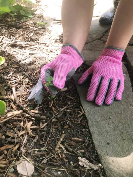 Wear Gardening Gloves
