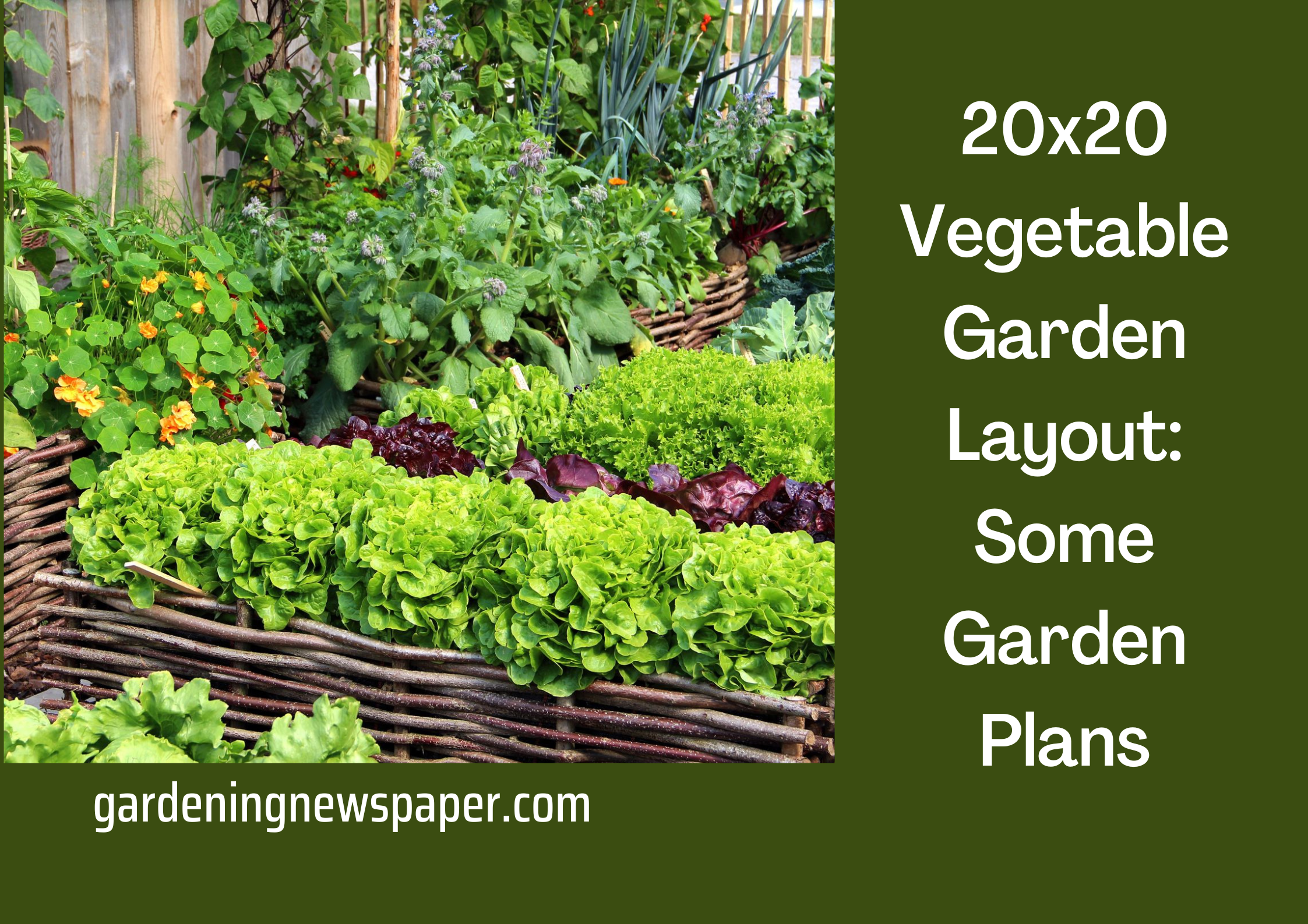 20x20 Vegetable Garden Layout