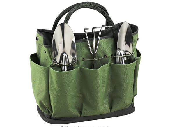 Crucial Garden Tote Bag and Tools
