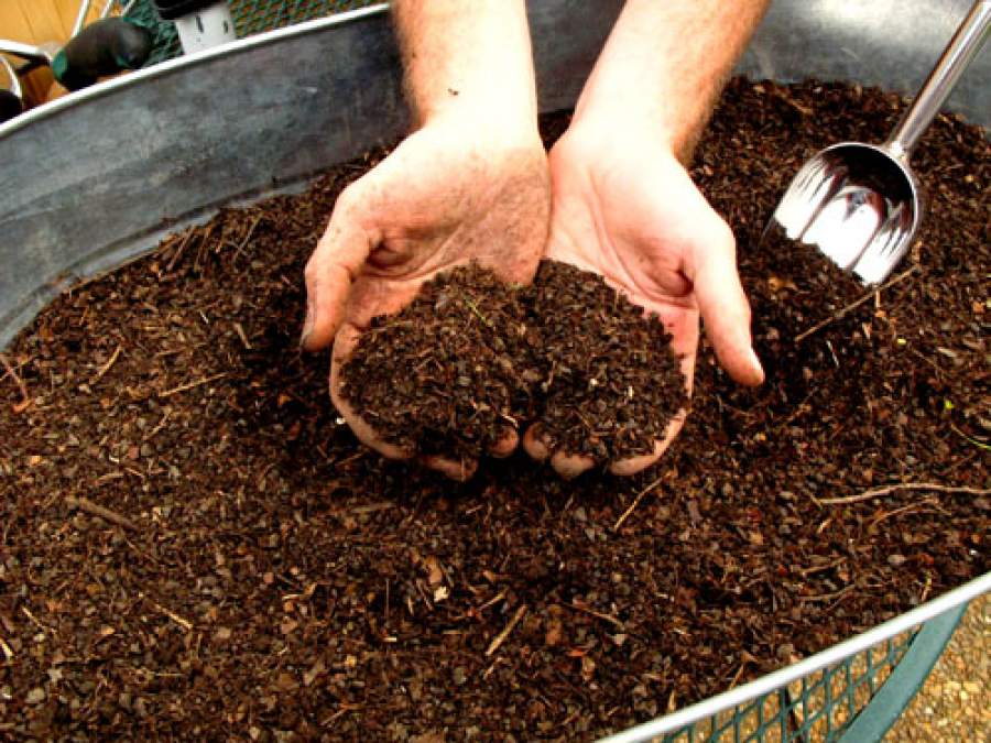 Factors Influencing Composting Rate