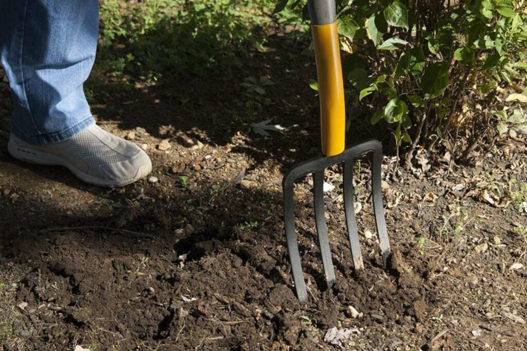 Garden forks are another basic tool