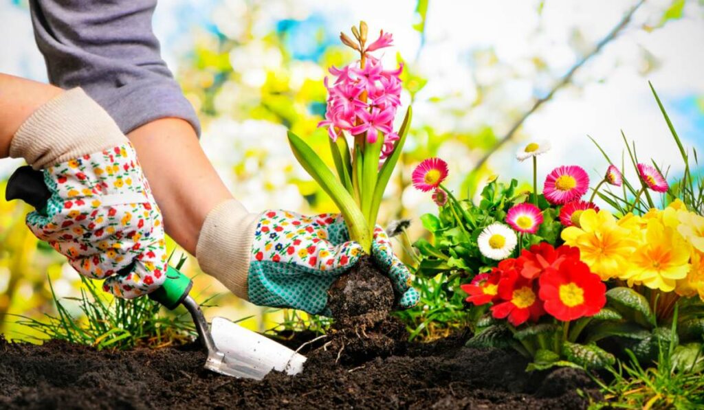 Here are the top basic gardening tools for beginners-