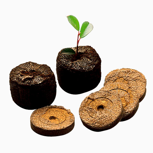Seed Sowing Peat pellets -VS- Soil seed trays
