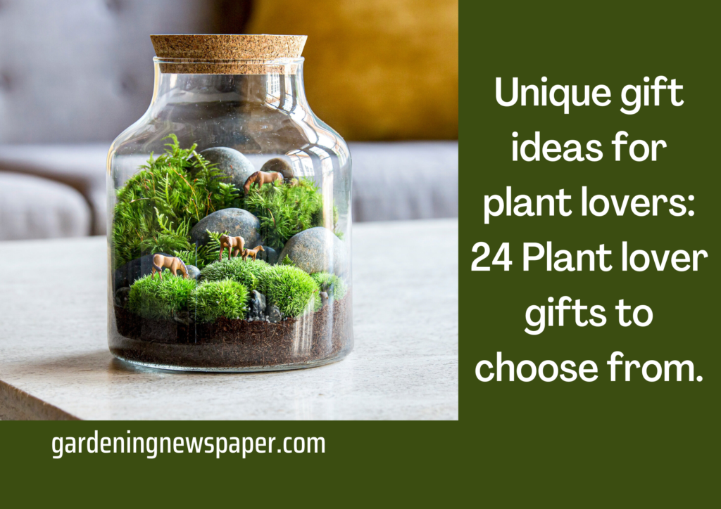 Unique gift ideas for plant lovers