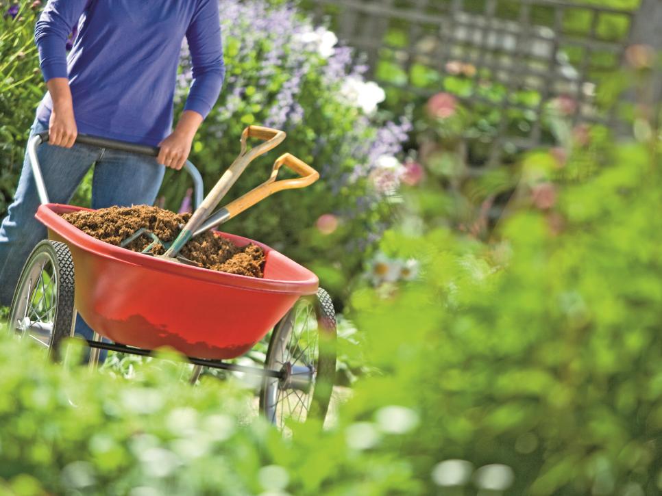 A wheelbarrow is a basic gardening tool