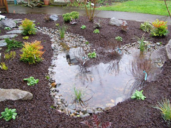 basin for rain garden