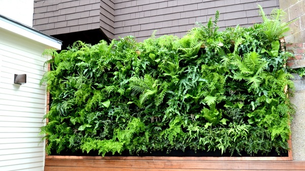 Vertical gardening systems: Guide for your vertical garden