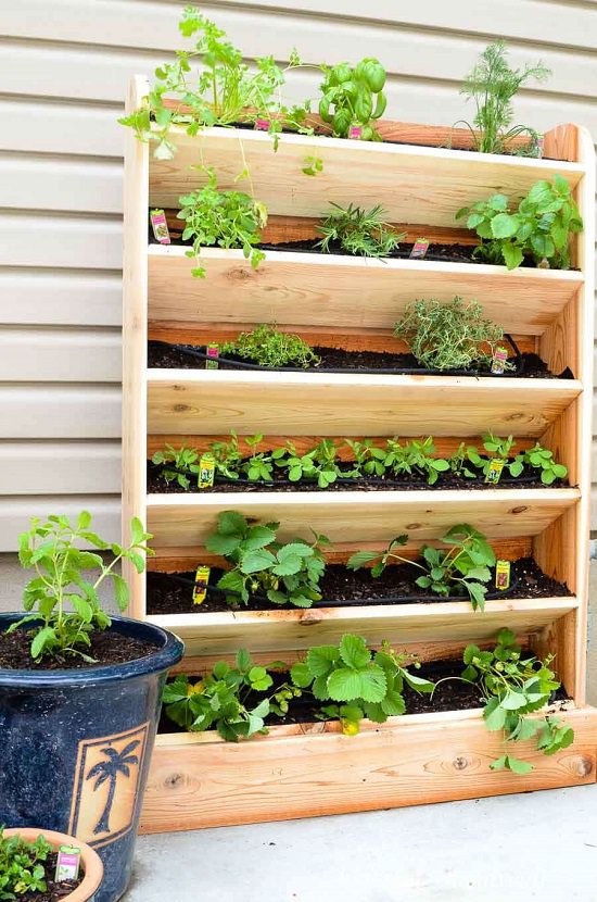 How to build a vertical garden planter