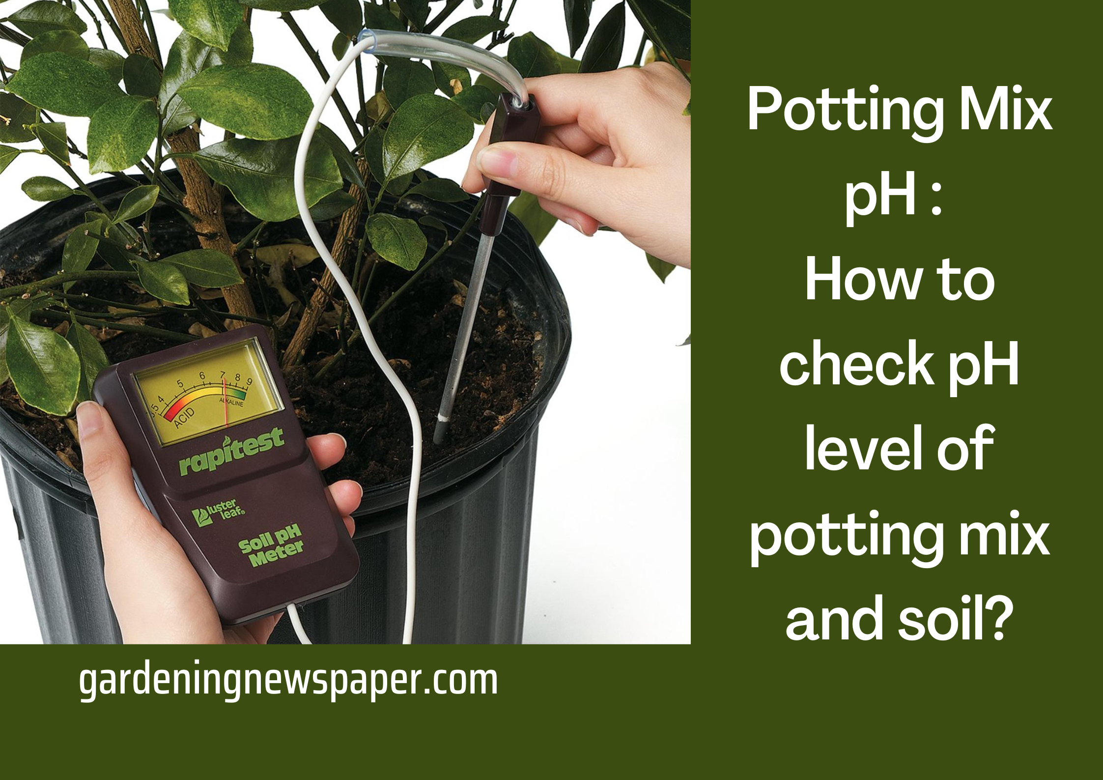 Potting mix PH - How to check pH level of Potting Soil?