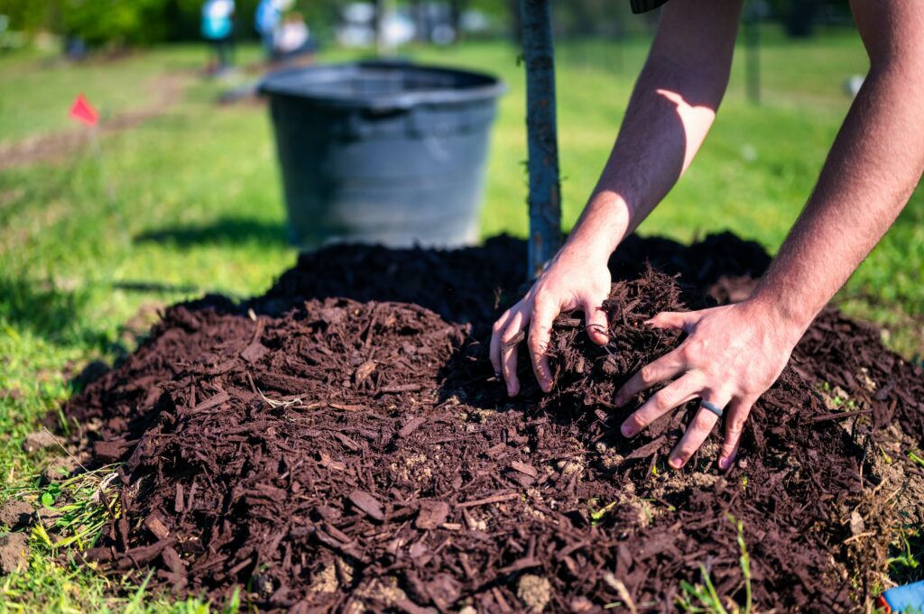How to spread mulch like a pro: A step-by-step guide to a beautiful garden