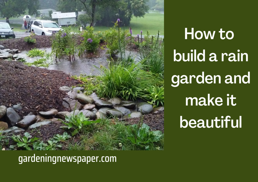 How to build a rain garden and make it beautiful