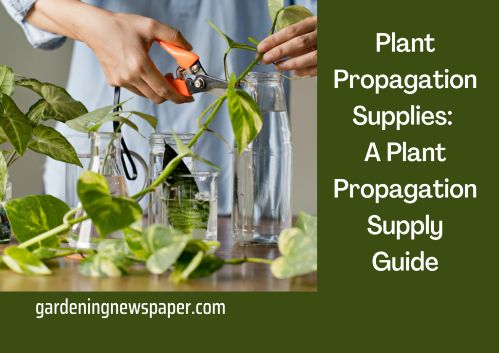 Plant Propagation Supplies