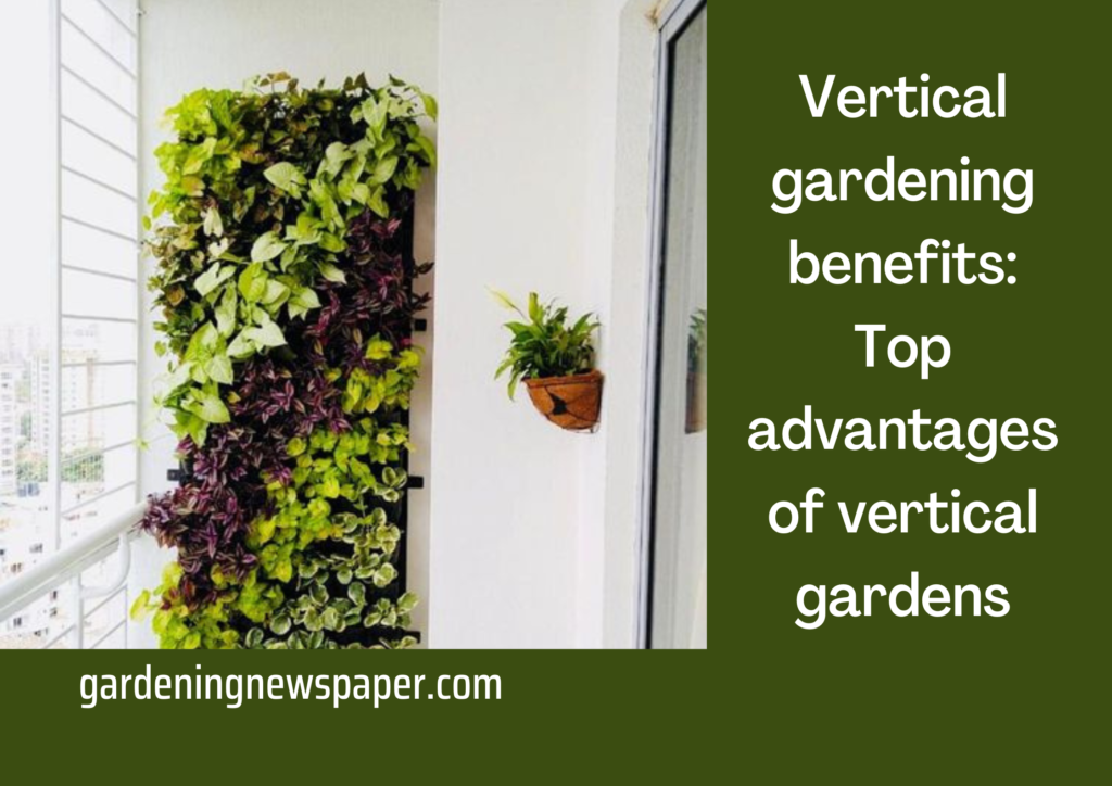 Vertical gardening benefits